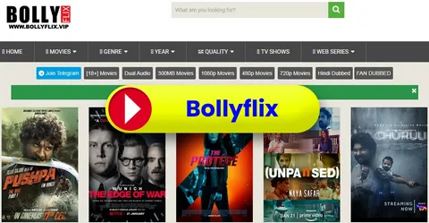 Bollyflix